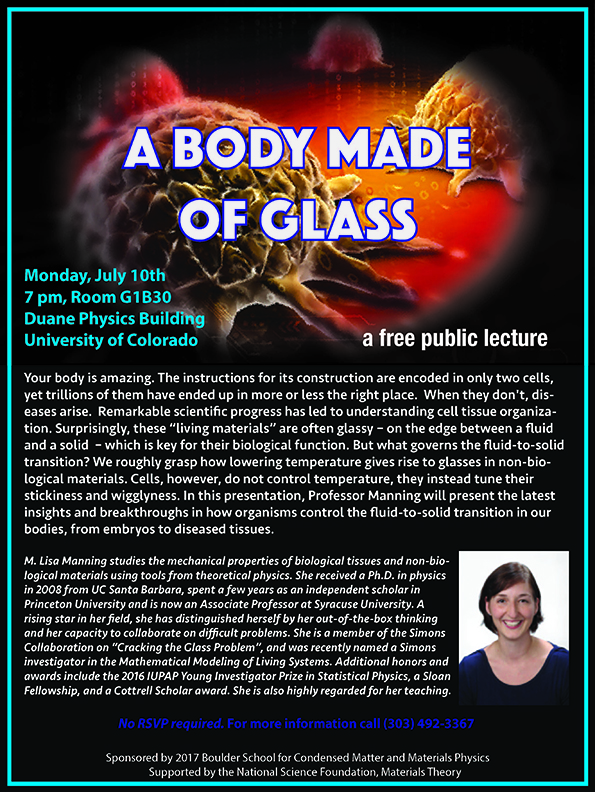 Boulder School 2017 Public Lecture with Lisa Manning - A Body Made of Glass